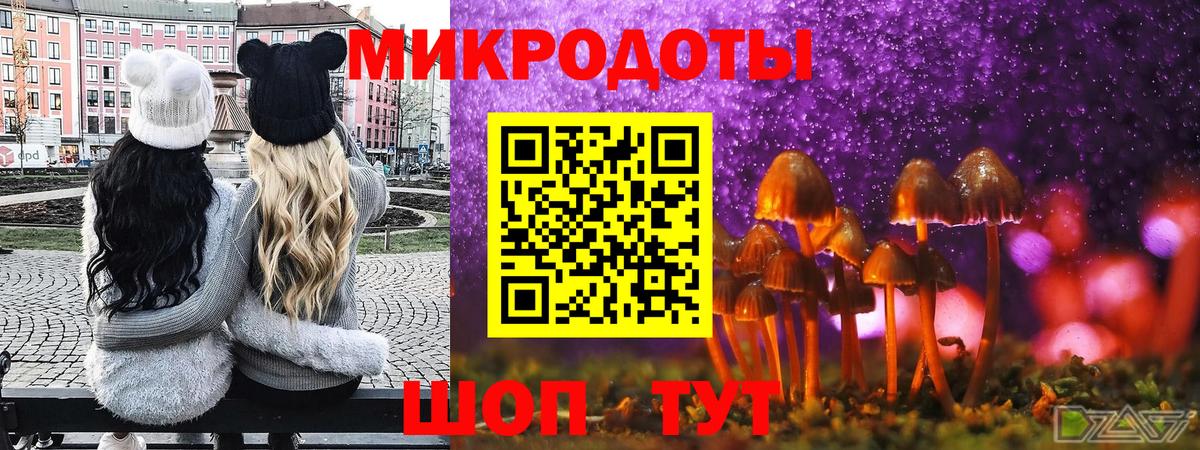 Галлюциногенные грибы MAGIC MUSHROOMS  Галлюциногенные грибы Psilocybe  Вход с VPN  Новоуральск 
