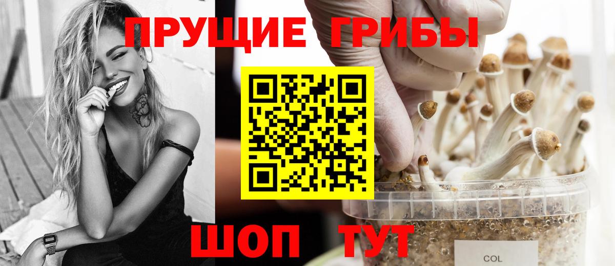 Псилоцибиновые грибы GOLDEN TEACHER  Новоуральск  Галлюциногенные грибы ЛСД 