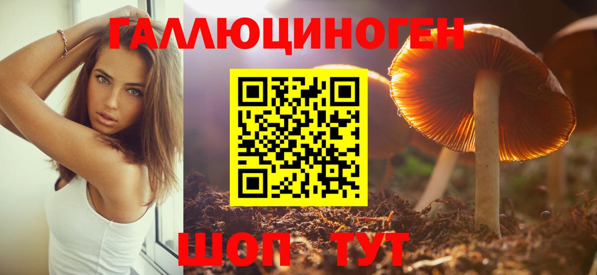 Псилоцибиновые грибы Magic Shrooms Новоуральск